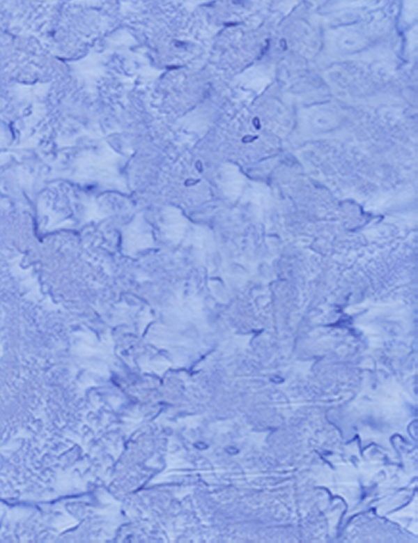 Anthology Batiks Cool Lava fabric: Lava, Ciel