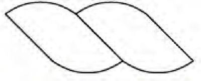 Westalee Ruler Continuous Rope and Echo 2.5" x 5"