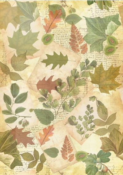 Herbarium Fabric: Tree Leaves Herbarium Fabric: Tree Leaves