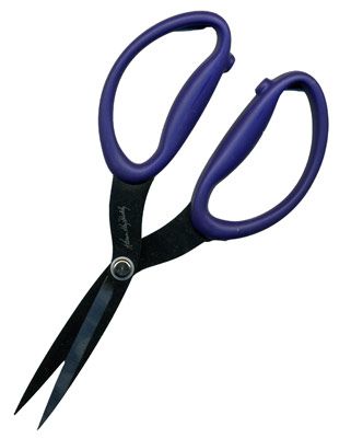 Karen Kay Buckley's Large Perfect Scissors Karen Kay Buckley's Large Perfect Scissors