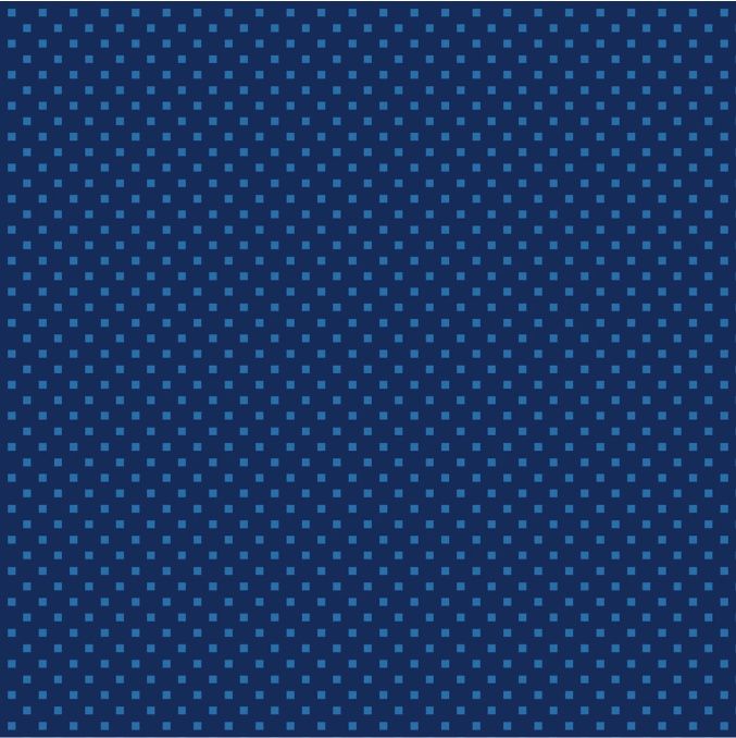 Snazzy Squares fabrics: Navy/Blue Snazzy Squares fabrics: Navy/Blue