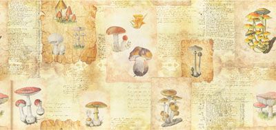 Herbarium Fabric: Mushrooms Herbarium Fabric: Mushrooms