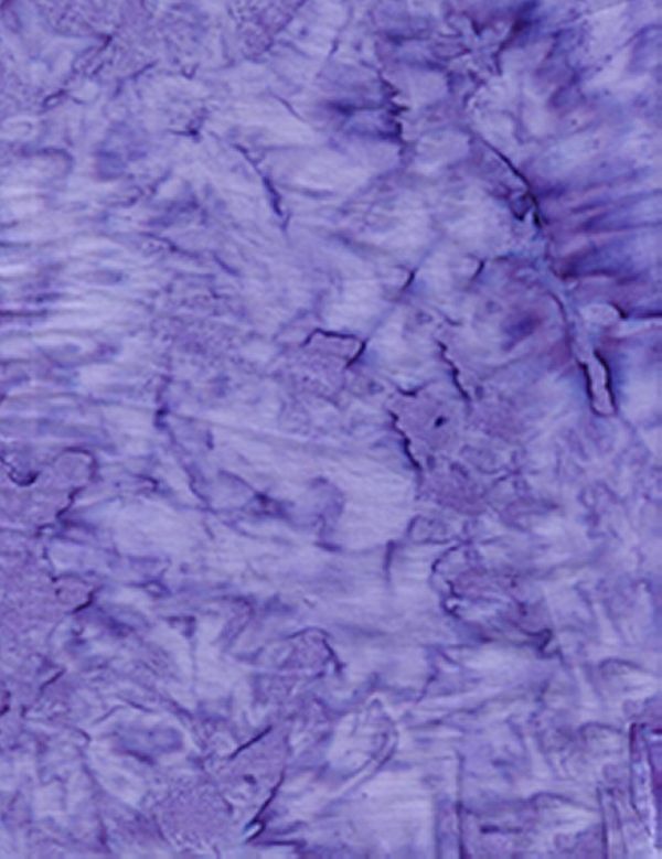 Anthology Batiks Cool Lava fabric: Lava, Anemone