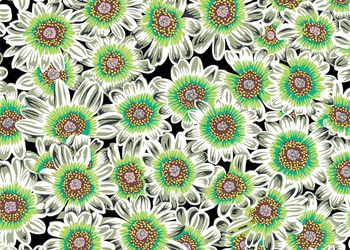 Kaffe Fassett Collective Lucy Fabrics