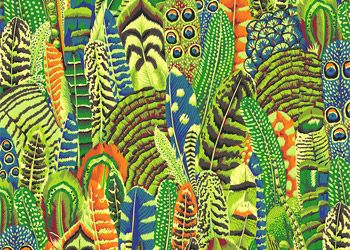 Kaffe Fassett Collective Feathers Fabrics