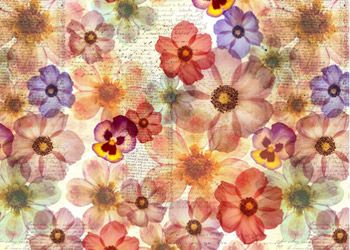 Wistful Blooms fabrics