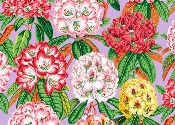 Kaffe Fassett Collective Rhododendrons Fabrics