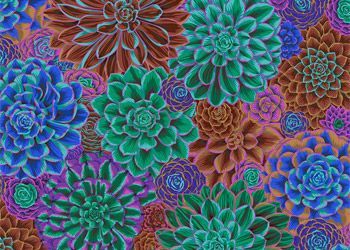 Kaffe Fassett Collective House Leek Fabrics