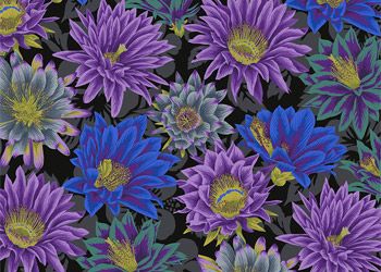 Kaffe Fassett Collective Cactus Flower Fabrics