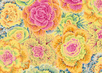 Kaffe Fassett Collective Brassica Fabrics