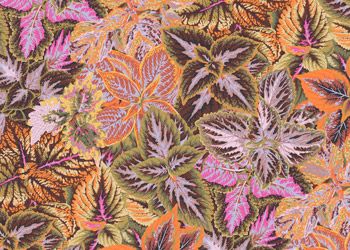 Kaffe Fassett Collective Bold Leaves Fabrics