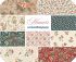 Feathers of Time Quilt Kit Pre Order