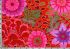 Kaffe Fassett Fabric Dream Magenta (per 1/4 metre) Kaffe Fassett Fabric Dream Magenta (per 1/4 metre)