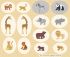 Small Things Wild Animals Fabric: Cut and Sew Panel 91cm Small Things Wild Animals Fabric: Cut and Sew Panel 91cm