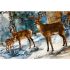 Highland View fabric: Deer Panel 32" (81cm)