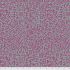 Kaffe Fassett Collective: Amaze Grey (per 1/4 metre)