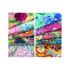 Kaffe Fassett Seed Packets, Spring Mix Quilt Kit