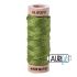 Aurifil Floss Cotton Thread 2888 Fern Green Aurifil Floss Cotton Thread 2888 Fern Green