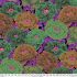 Kaffe Fassett Collective Fabric Tibetan Peony, Dark