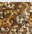 Steampunk Menagerie fabric, Multi Maps