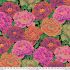 Kaffe Fassett Collective Fabric Tibetan Peony, Red