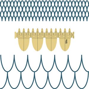 Westalee Oval Clamshell 1" and 3"