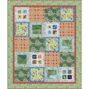 Backyard Wonders Bordered Accent Quilt Kit | 
