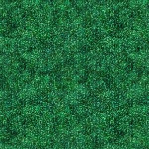 Quilting Coordinates fabric: Enchanted, Vine Green | 