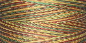 Superior King Tut Thread #906 Autumn Days 500 yds. | 