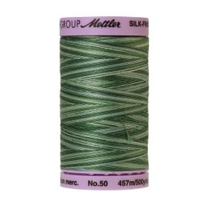 Mettler 50 Variegated Cotton Thread 9819, Spruce Pines | 