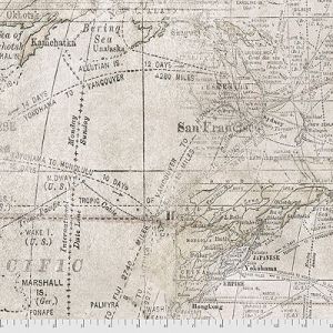 Eclectic Elements Monochrome fabric: Expedition Parchment (per 1/4 metre) |