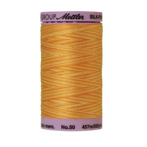 Mettler 50 Variegated Cotton Thread 9827, Horizon | 