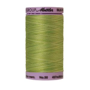 Mettler 50 Variegated Cotton Thread 9817, Little Spouts | 